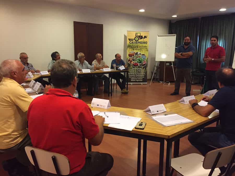 Formação Profissional