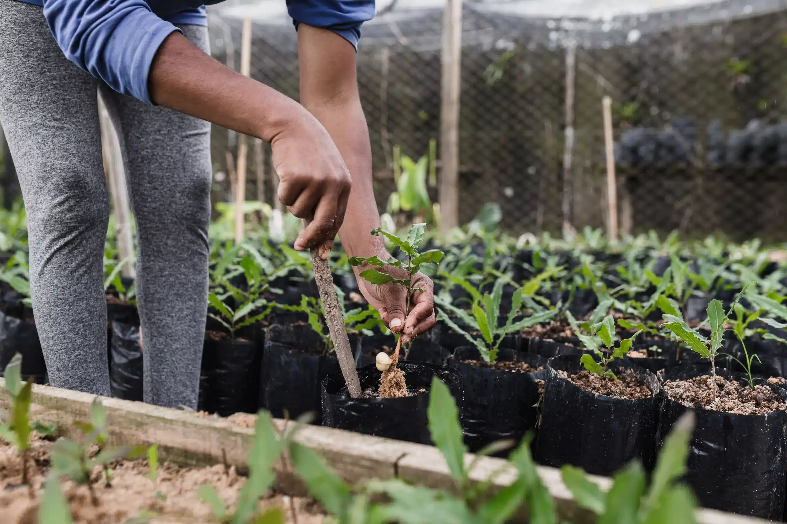 Apoio ao agricultor - Balcão Verde